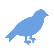 鳥類糞便