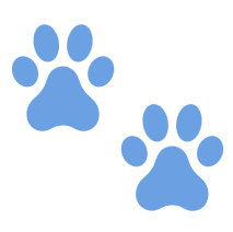 動物糞便