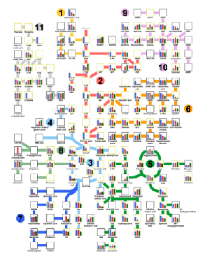 代謝経路マップ