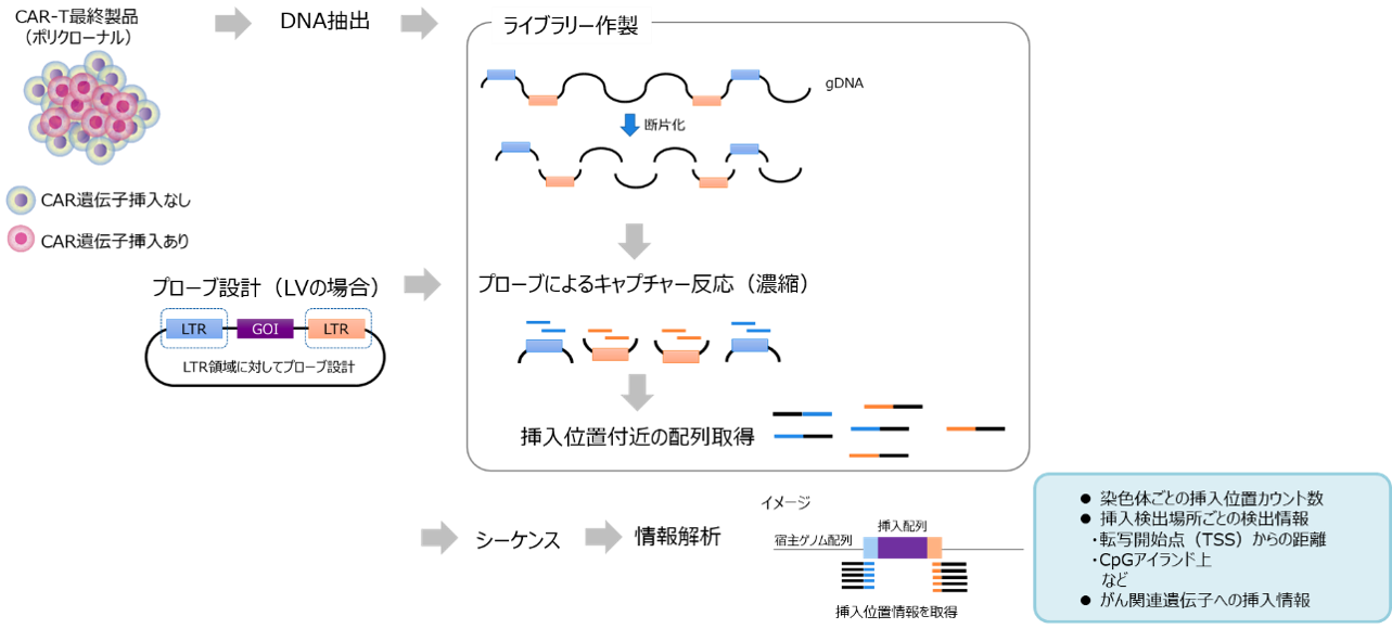 クローナリティ解析概要
