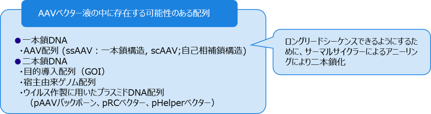 アデノ随伴ウイルス（AAV）ベクターゲノムの品質評価概要1