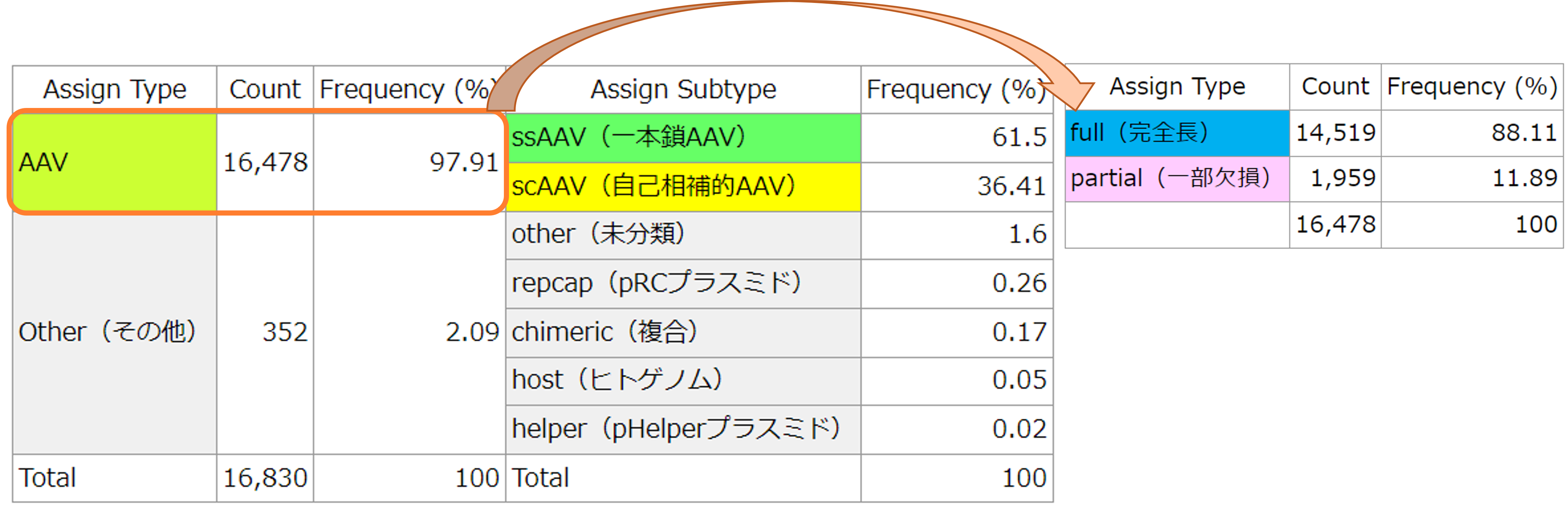 アデノ随伴ウイルス（AAV）ベクターゲノムの品質評価概要_マッピング算出
