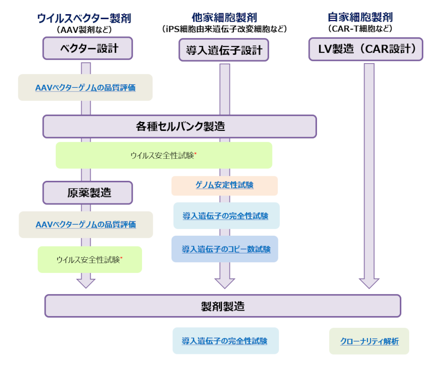 NGSを用いた再生医療等製品向け特性解析フローチャート