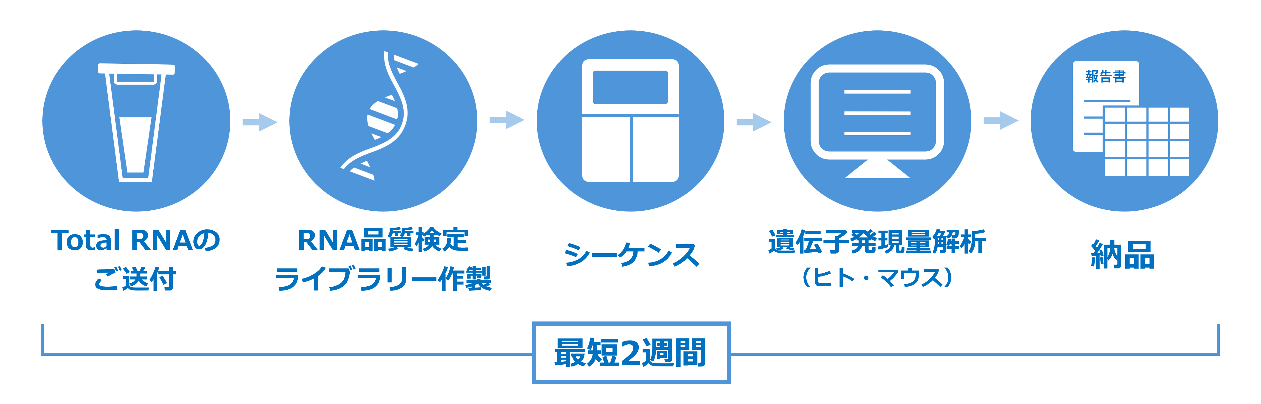 検体ご送付から納品までの流れ