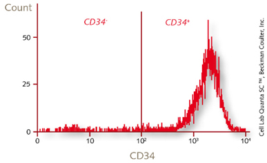 フローサイトメトリーによるhCD34<sup>＋</sup>-CBの分析例