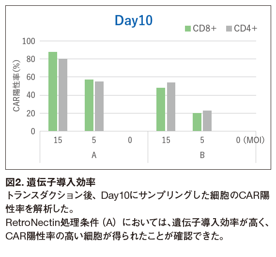 図2. 遺伝子導入効率
