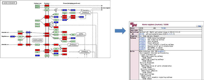 データマイニング タカラバイオ株式会社