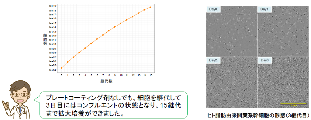 Cellartis MSC Xeno-Free Culture Mediumをご使用のお客様からご提供いただいた培養例