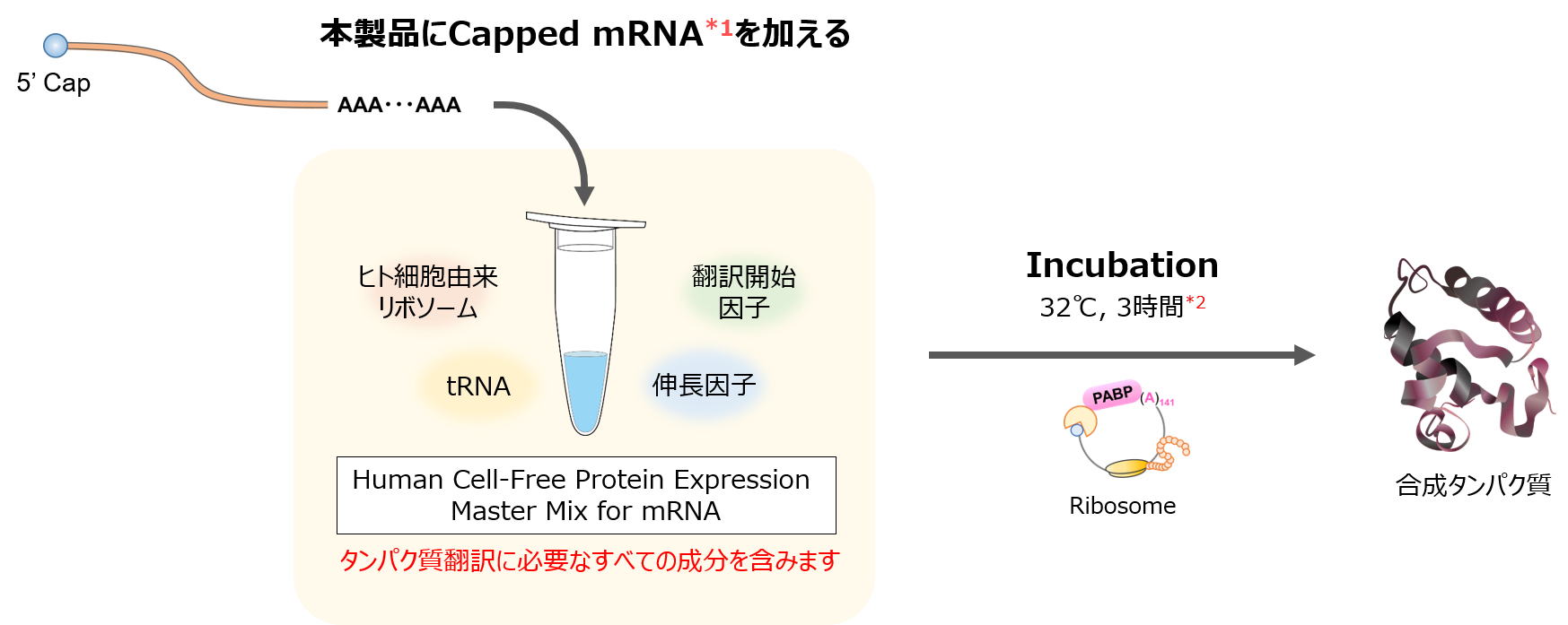mRNAを加えるだけの簡便な操作性