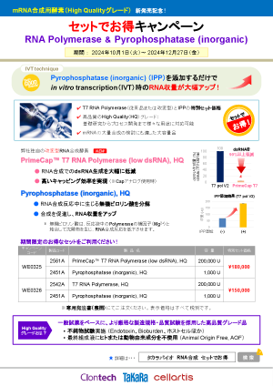 セットでお得キャンペーンチラシ