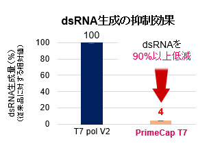 dsRNA生成の抑制効果