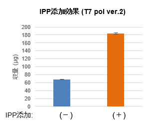 IPP添加効果（T7 pol ver.2）