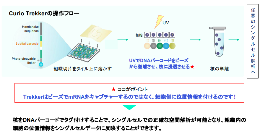 Curio Trekkerの操作フロー