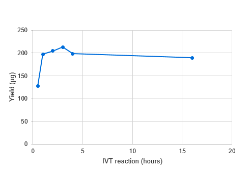 IVT反応時間とRNA収量の関係