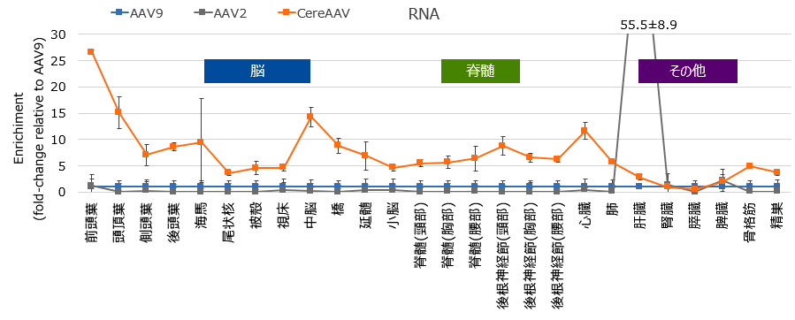 AAV9を1とした時のCereAAVおよびAAV2の遺伝子発現グラフ