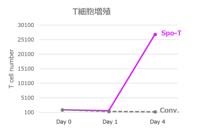 T細胞増殖