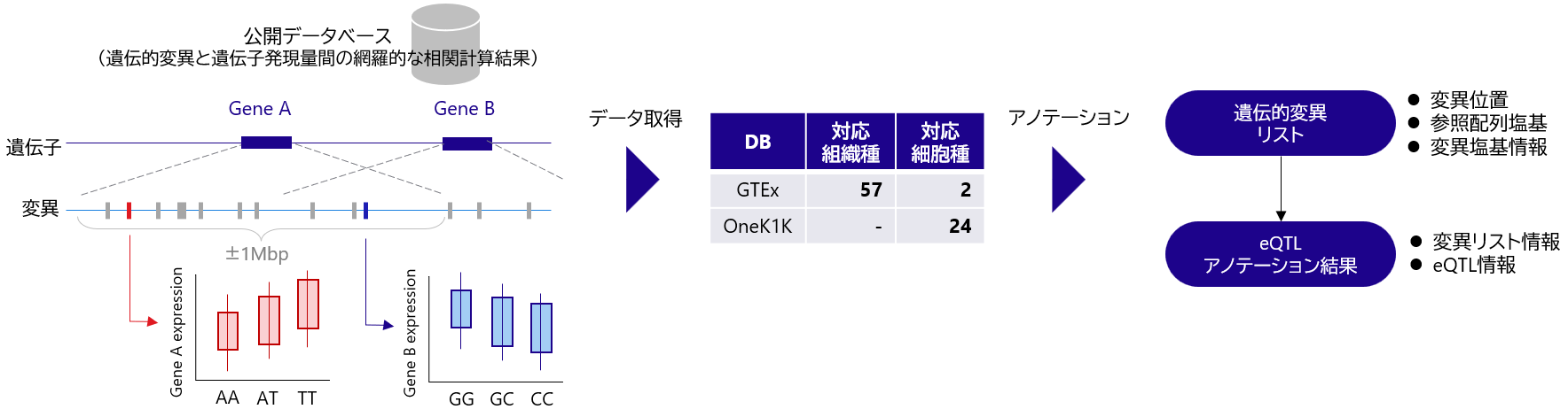 eQTLアノテーションの実験方法