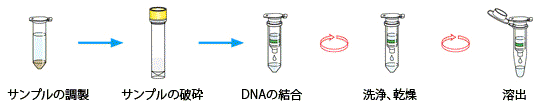 全DNA抽出操作手順