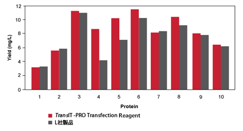 浮遊培養293細胞での高収率タンパク質産生