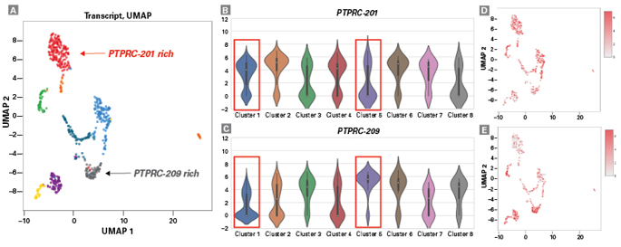 ヒトPBMCサンプルでのProtein Tyrosine Phosphatase Receptor Type C (PTPRC)遺伝子のアイソフォームPTPRC-201およびPTPRC-209の検出例