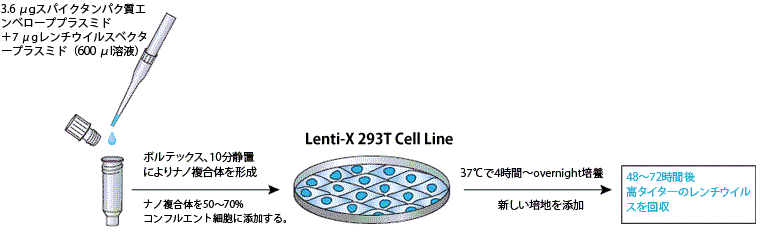 Lenti-X SARS-CoV-2 Packaging Single Shots (Universal)のワークフロー