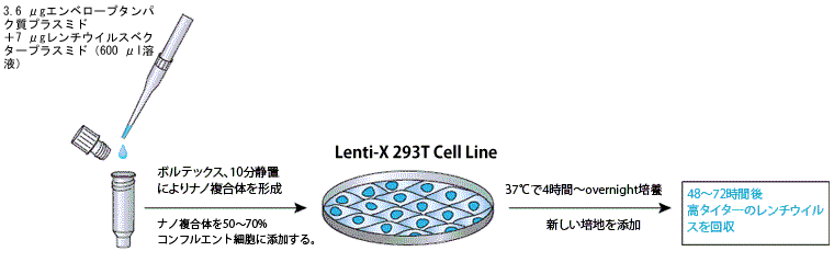 Lenti-X Packaging Single Shots (Envelope-Free) を用いたプロトコール