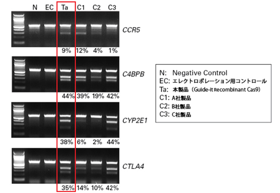 hiPS細胞における遺伝子のノックアウトおよび他社Cas9との比較