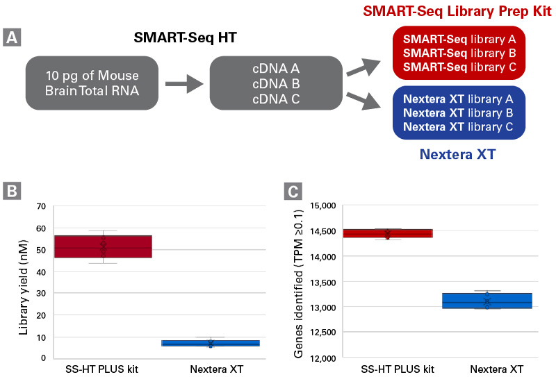 SMART-Seq Single HT KitとNextera XTとの比較