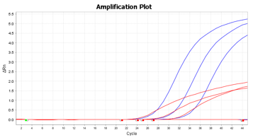 SARS-CoV-2のA社との比較