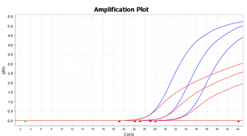 SARS-CoV-2のB社との比較