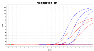 FluA/B（FAM）のB社との比較