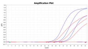 IC（HEX）のB社との比較