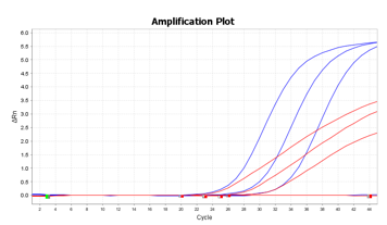SARS-CoV-2のA社との比較