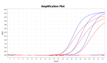 FluA/B（FAM）のA社との比較