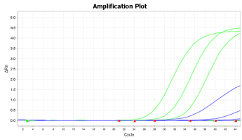 B社同タイプキットとの比較