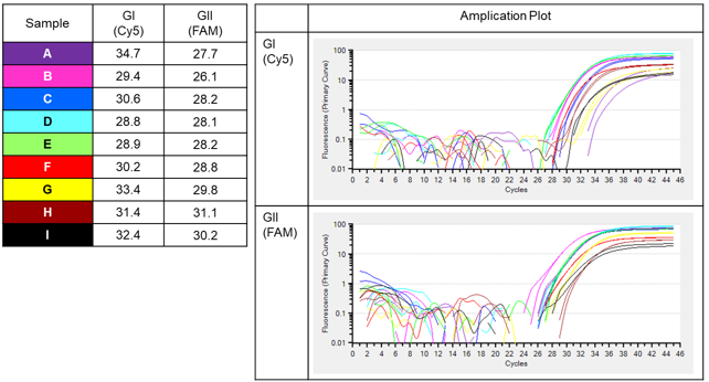 リアルタイムRT-qPCR によるノロウイルスGIおよびGII検出結果（Ct値および増幅曲線）