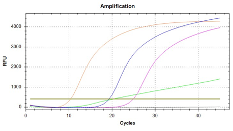 ワクチン株（VIC）