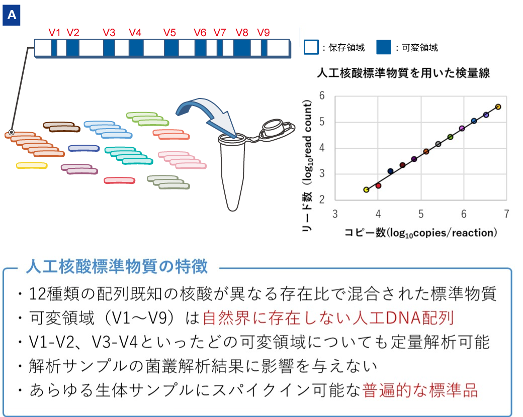 12種類の16S rRNA配列を異なるコピー数で混合