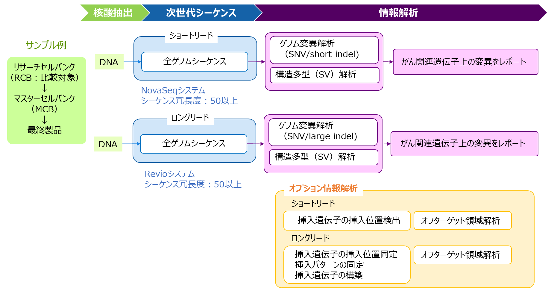 がん関連遺伝子の変異解析のフローチャート