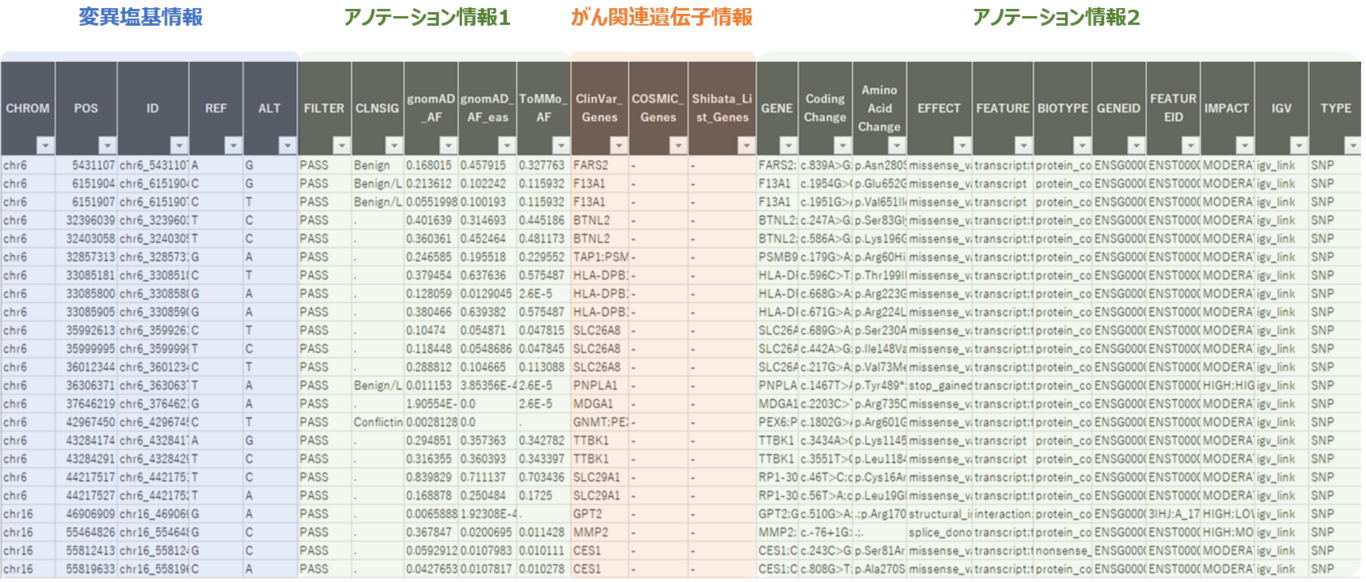 がん関連遺伝子の変異解析のレポート例1