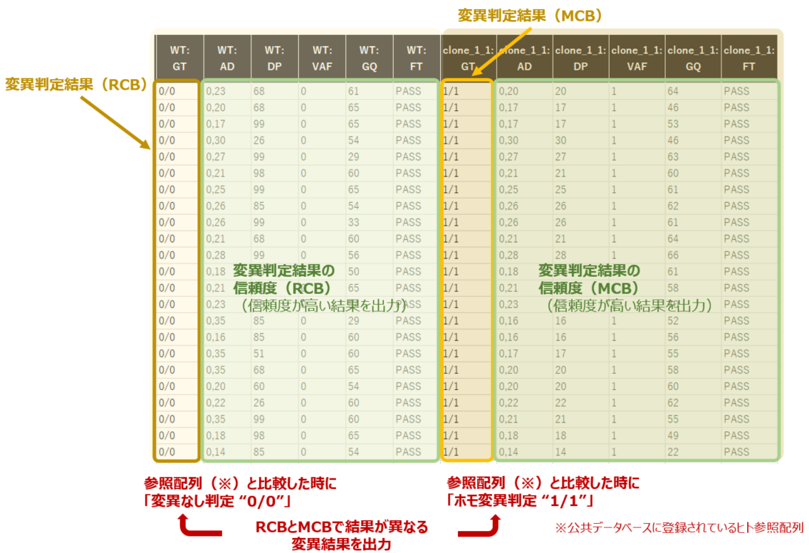 がん関連遺伝子の変異解析のレポート例2