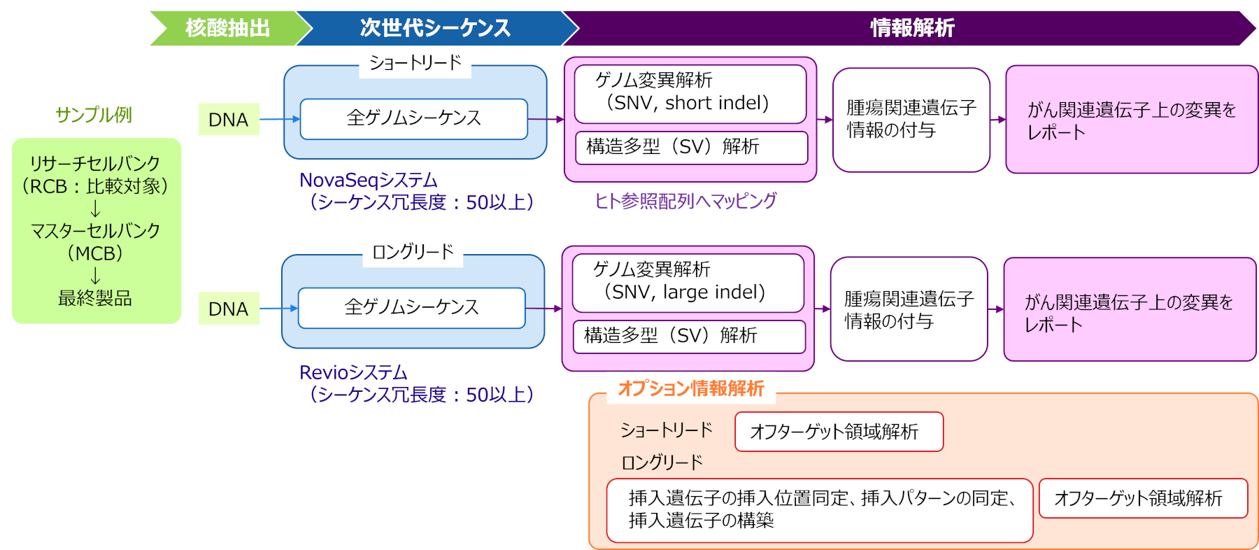がん関連遺伝子の変異解析のフローチャート