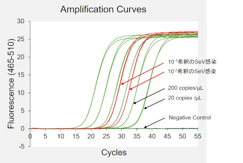 SeV Primer/Probe Mix with Standardを用いたSeVのリアルタイムPCRの例