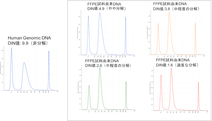 断片化度合いの異なるヒトゲノムから調製したDNAライブラリーの波形