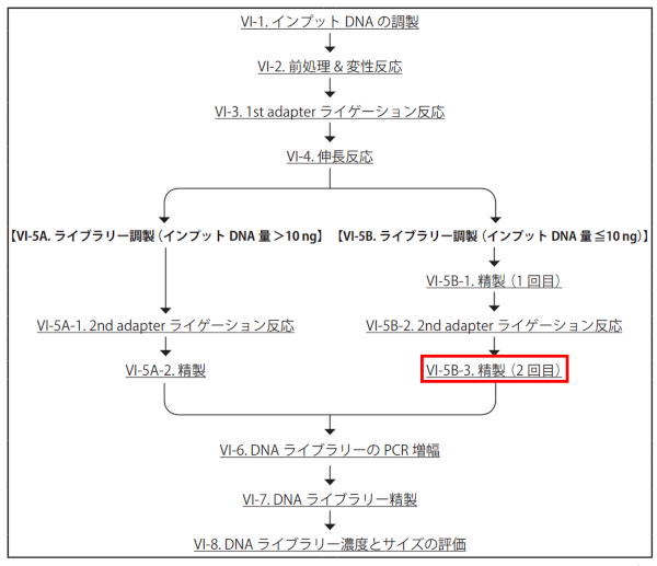 ssDNA-Seq Kitのプロトコール（本製品ユーザーマニュアルより引用）