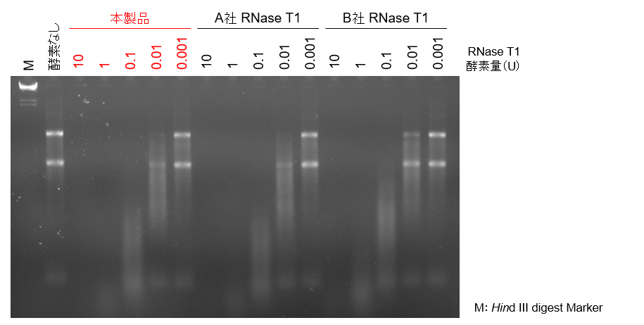 RNase T1によるRNA分解能