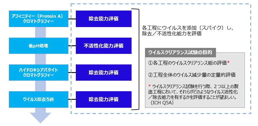 ウイルスクリアランス試験の一例