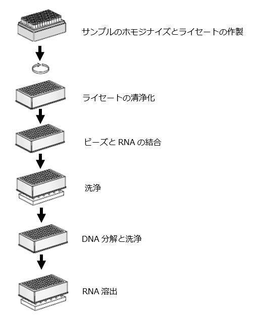 操作手順
