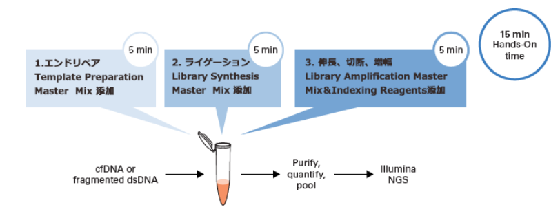 ThruPLEX DNA-Seq FLEX EFの1チューブライブラリー調製のワークフロー