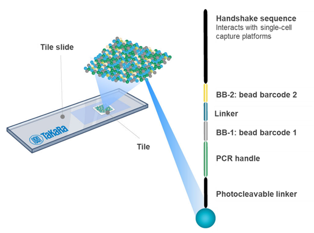 Trekker tile概略図